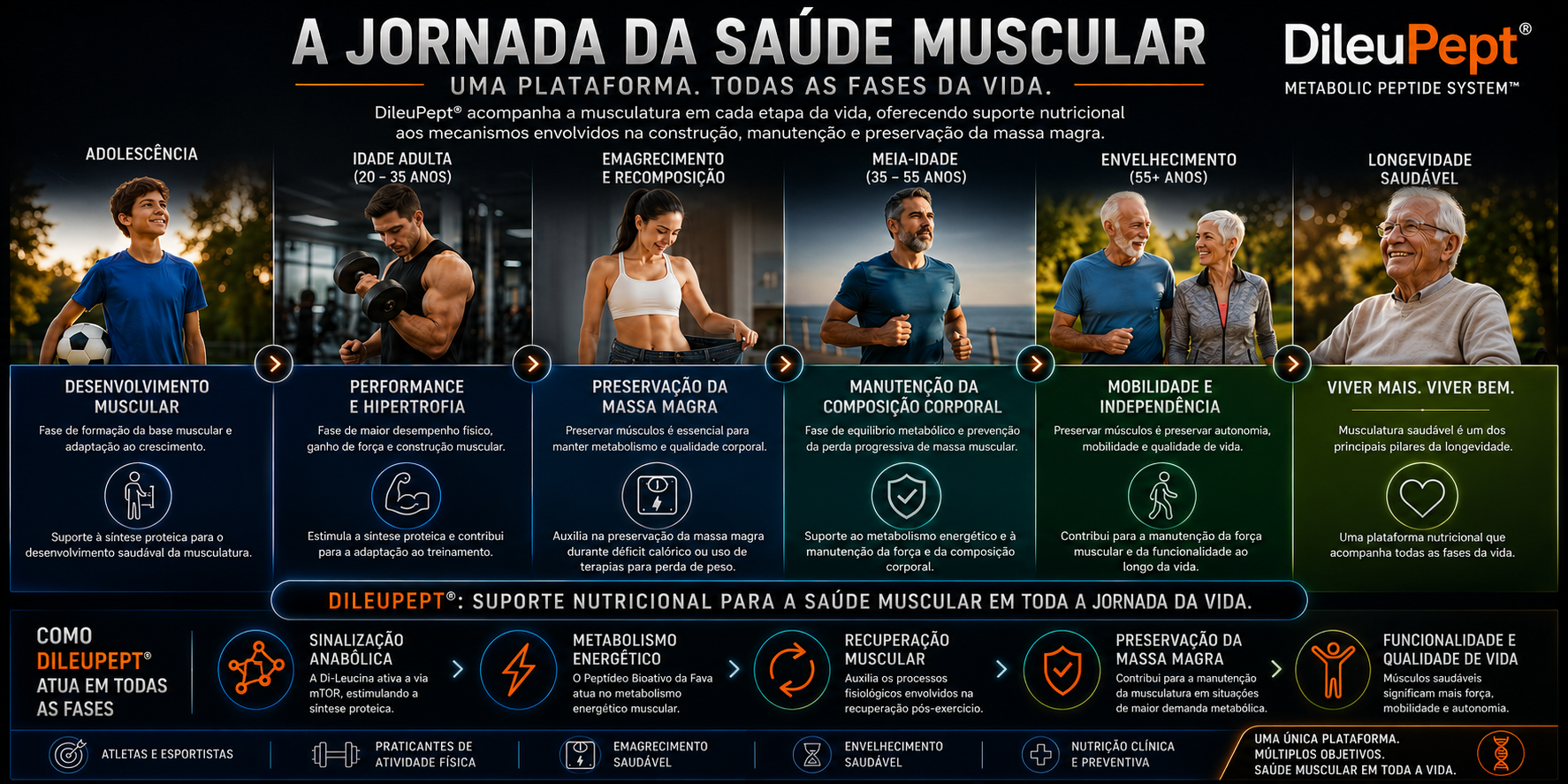 Jornada da saúde muscular com DileuPept ao longo das fases da vida
