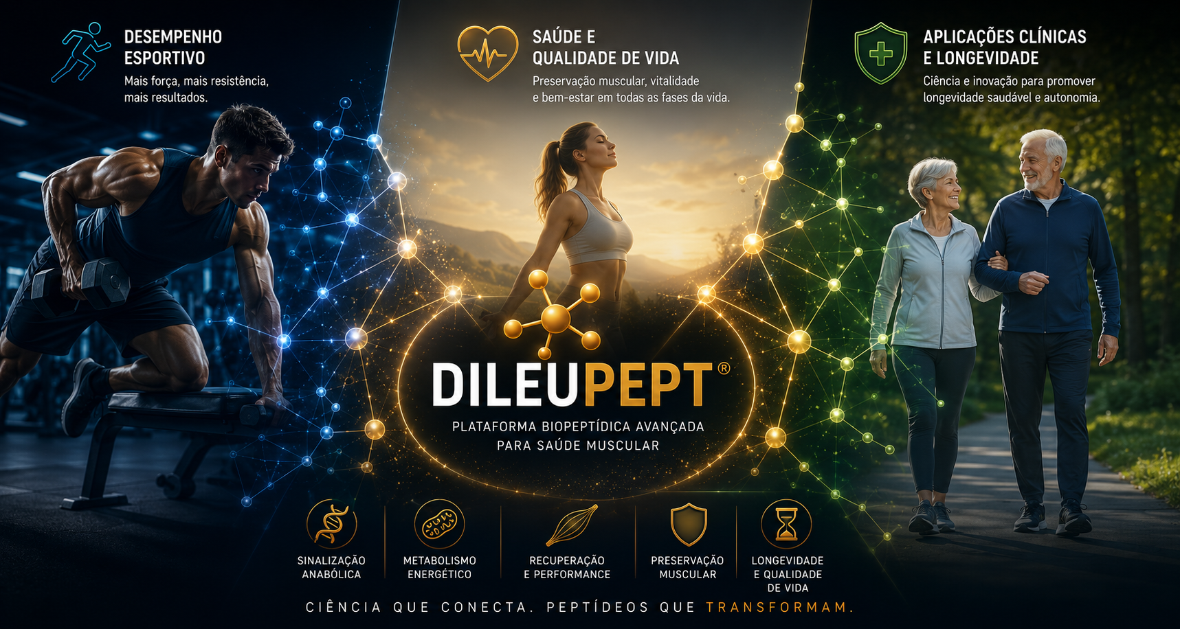 DileuPept integrando desempenho esportivo, saúde, qualidade de vida e longevidade