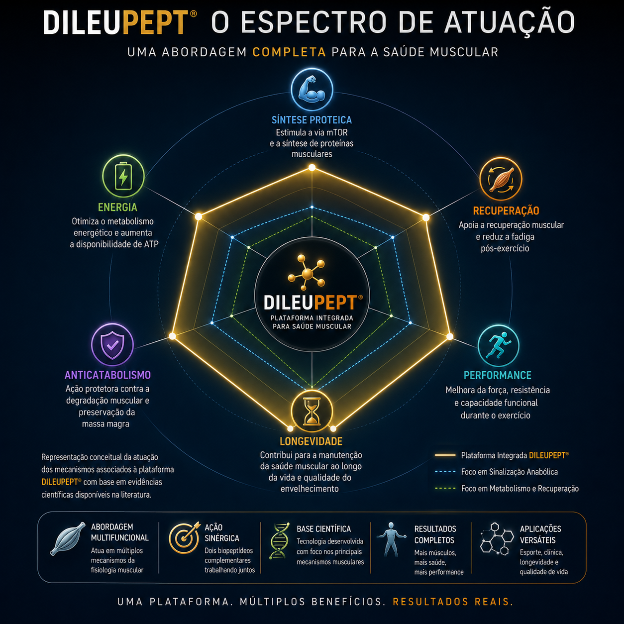 Espectro integrado de atuação do DileuPept na saúde muscular