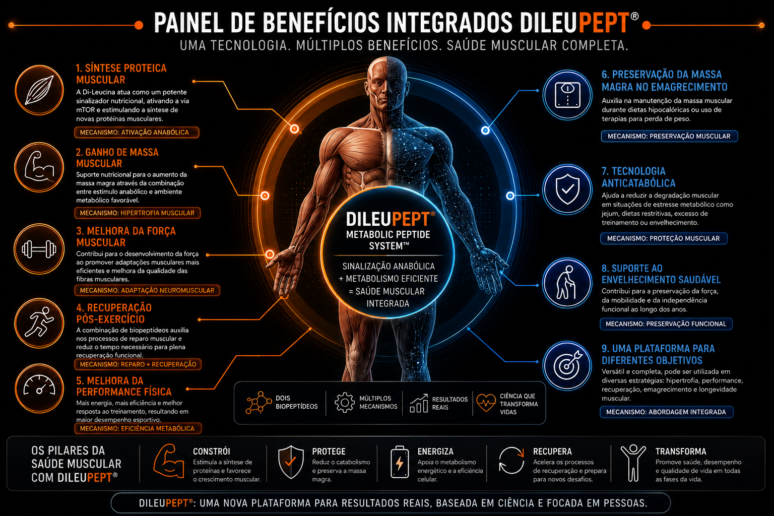 Painel de beneficios integrados do DileuPept para saude muscular